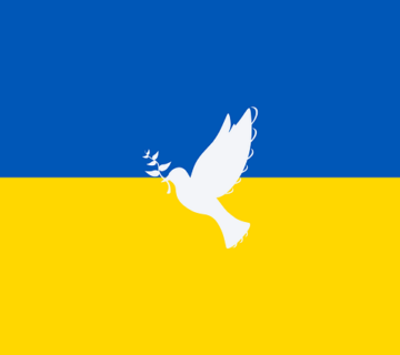 ukraine flagge