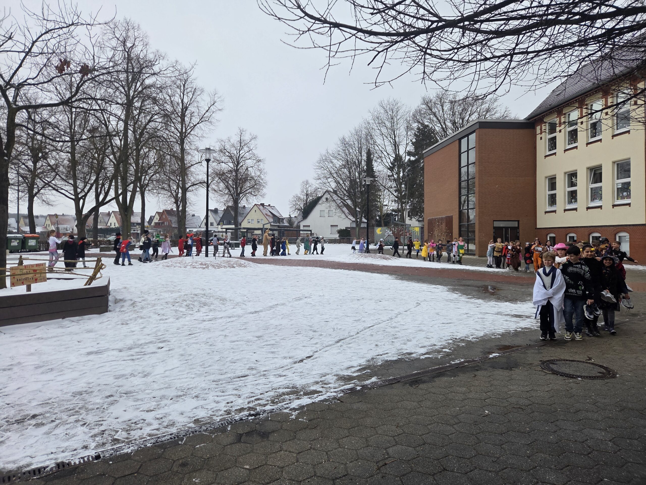 20260216_095517 20260216 095517