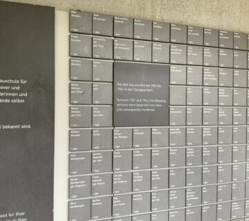 IMG 0010 360x320